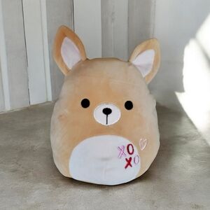 XOXO Squishmallows Chauncy The Chihuahua Plush Pointy Ears 11" Tan Beige
